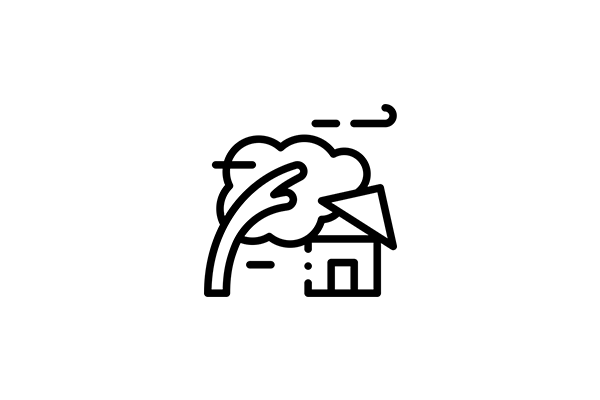 Company